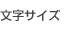 文字サイズ